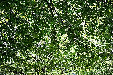 玩家自制《辐射：迈阿密》发布新预告 展示游戏场景