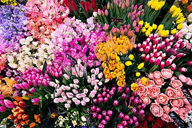 微软Spencer：放在今天 我们可以挽留Bungie