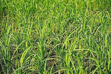 《堡垒之夜》被苹果拉黑 5年内可能无法重新上架